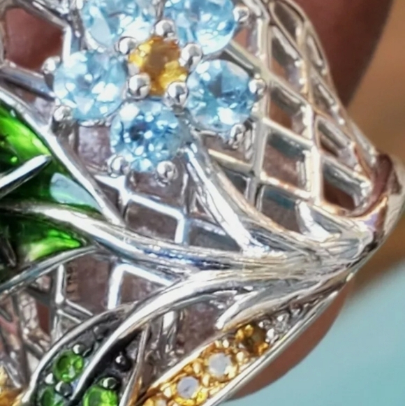 Amethyst, Citrine, Chrome Diopside, Topaz Nature Ring Plat over Sterling… - Picture 9 of 11